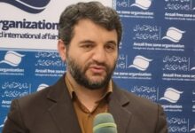 جزئیات لایحه در دست بررسی واردات خودرو به مناطق آزاد