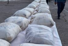 رشد بیش از ۴ درصدی کشفیات مواد مخدر در غرب استان تهران