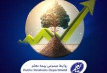 رشد درآمد بیمه معلم با تراز مثبت 83 درصد