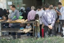 صف یکی و چندتایی نانوایی، گوسفندها بدون نوبت