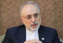 علی اکبر صالحی: بحران غزه قطب نمای وجدان جهانیان شده است