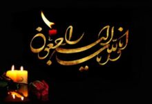 مادر شهیدان ثابت به فرزندان شهیدش پیوست
