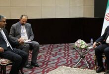 نایب رئیس مجلس موریتانی: جمهوری اسلامی ایران در جهان اسلام نقش محوری دارد