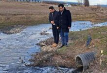 ورود دادستان نمین به ماجرای آلودگی رودخانه قرهسو