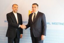 وزیر خارجه گرجستان: ایران کشوری قوی و ریشه دار در منطقه است