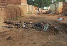 پاکسازی نژادی در سودان؛ 15 هزار نفر تنها در یک شهر کشته شدند