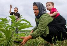 پرداخت ۲۱ هزار میلیارد تومان تسهیلات اشتغال روستایی تا دی ماه
