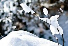 پیش‌بینی بارش برف در غرب و تندبادهای شدید در شرق کردستان