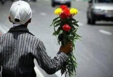 کودکان متکدی در خیابان‌های کاشان چه می‌کنند؟