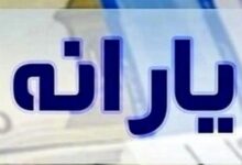 اجرای طرح یارانه مضاعف فجرانه از فردا