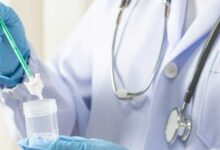 اجرای یک طرح مهم سلولهای بنیادین در سمنان