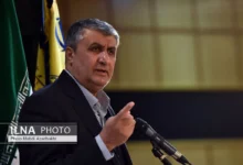 توضیحات رئیس سازمان انرژی اتمی درباره افتتاح چندین طرح هستهای در اصفهان