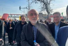 حضور علی اکبر صالحی در مراسم راهپیمایی ۲۲ بهمن