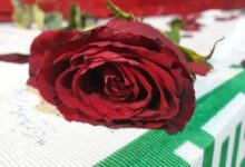 شهادت یکی از رزمندگان فاطمیون در شرق سوریه