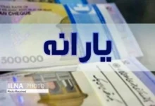 منابع و مصارف قانون هدفمندی یارانهها توسط دیوان محاسبات بررسی شد