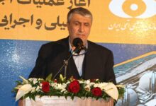 نیروگاه اتمی سیریک نقطه ژرف برای تحول در منطقه است