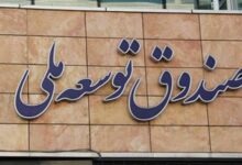 پیشنهاد اختصاص سالانه یک میلیارد دلار از صندوق توسعه ملی برای تولید محصولات راهبردی کشاورزی