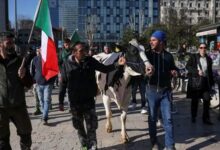 کشاورزان ایتالیایی نیز تظاهرات کردند