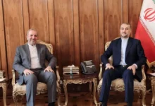 تاکید وزیر امور خارجه بر ضرورت اجرای کامل توافقات و اسناد امضا شده بین ایران و عراق