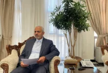 حدود  ۵ میلیون ایرانی در خارج از کشور زندگی می‌کنند