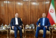 سفیر جدید کشورمان در برزیل با امیرعبداللهیان دیدار کرد
