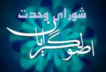 شورای وحدت در سه حوزه تصمیمسازی خواهد کرد