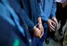 عوامل شبکه حرفه‌ای جعل مدارک تحصیلی در استان کرمان دستگیر شدند