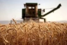 اگر قرار به جهش تولید با مشارکت مردم است، اعمال تعرفه بر صادرات محصولات کشاورزی درست نیست