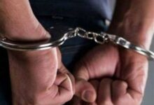 دادستانی با گوشبر مازندرانی برخورد جدی خواهد داشت