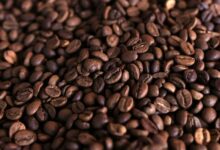 قهوههای آینده تلختر میشود
