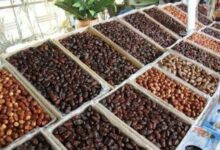 ممنوعیت صادارت سه نوع خرما به مدت دو ماه