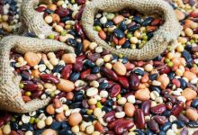 ثبات بازار حبوبات با ثبت سفارش ۳۰ هزار تنی/ کاهش فشار قیمتی در ماههای آتی