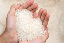 رد ادعای عرضه قطره‌چکانی برنج وارداتی/ تامین ارز و تمدید ثبت سفارش‌ها ضروری است