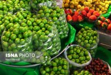 نوبرانه‌ها کیلویی چند؟/ با گذشت زمان قیمت‌ها کاهشی می‌شود