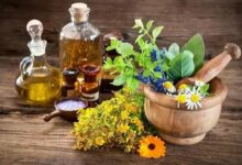 کشت گیاهان دارویی در ایران؛ افق‌های نوین یا موانع سرسخت؟