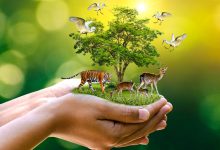 انتقال کنوانسیون تنوع زیستی به سازمان حفاظت محیط زیست؛ آری یا خیر؟