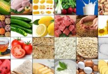 تاکید بر نقش بهرهوری آب در ارتقا تولید و امنیت غذایی/ چه سیاستهایی باید اعمال شود؟