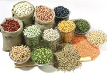 گرانی حبوبات زیر سایه صادرات بی‌رویه و عرضه‌های قطره‌چکانی؛ تعادل بازار باید حفظ شود