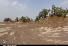 خاک؛ میراثی در خطر/ 28 کانون بحرانی فرسایش بادی در شمال استان کرمان
