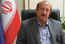 قیمت‌گذاری خودروهای مونتاژی در اختیار شورای رقابت است