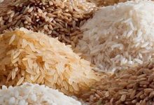 چرایی واردات برنج خارجی به استان تولیدکننده / حمایت یا مسکّن کوتاهمدت!