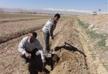اجرای پویش نهالکاری در سراسر مازندران