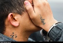 لیدر اغتشاشات: پهلوی چرت و پرت میگوید