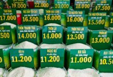 کاهش عرضه و نگرانی‌های آب‌وهوایی، قیمت برنج صادراتی ویتنام را افزایش داد