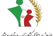 پرداخت سالانه بیش از ۳ هزار میلیارد تومان یارانه بیمه توسط دولت