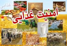 تأکید بر ضرورت خودکفایی پایدار در امنیت غذایی کشور