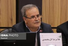 وابستگی ۹۸ درصدی ایران به بذر هیبرید/ رونمایی از ۴۰ رقم جدید بذر