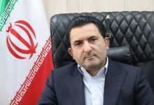 معاون وزیر جهاد کشاورزی: مداخله دولت در بازار مرغ و تخم‌مرغ کاهش می‌یابد