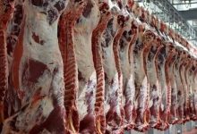 واردات گوشت با قبض انبار و تسهیل ثبت سفارش کالاهای اساسی در شرایط جنگی