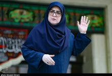 ببینید| سخنگوی دولت وارد بوشهر شد